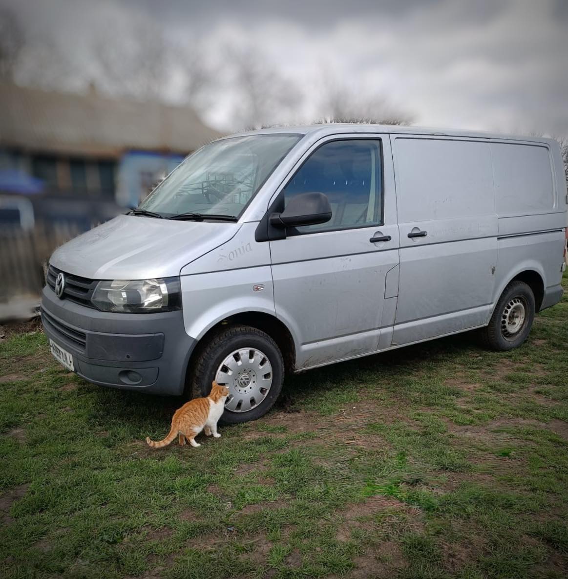 image-4
