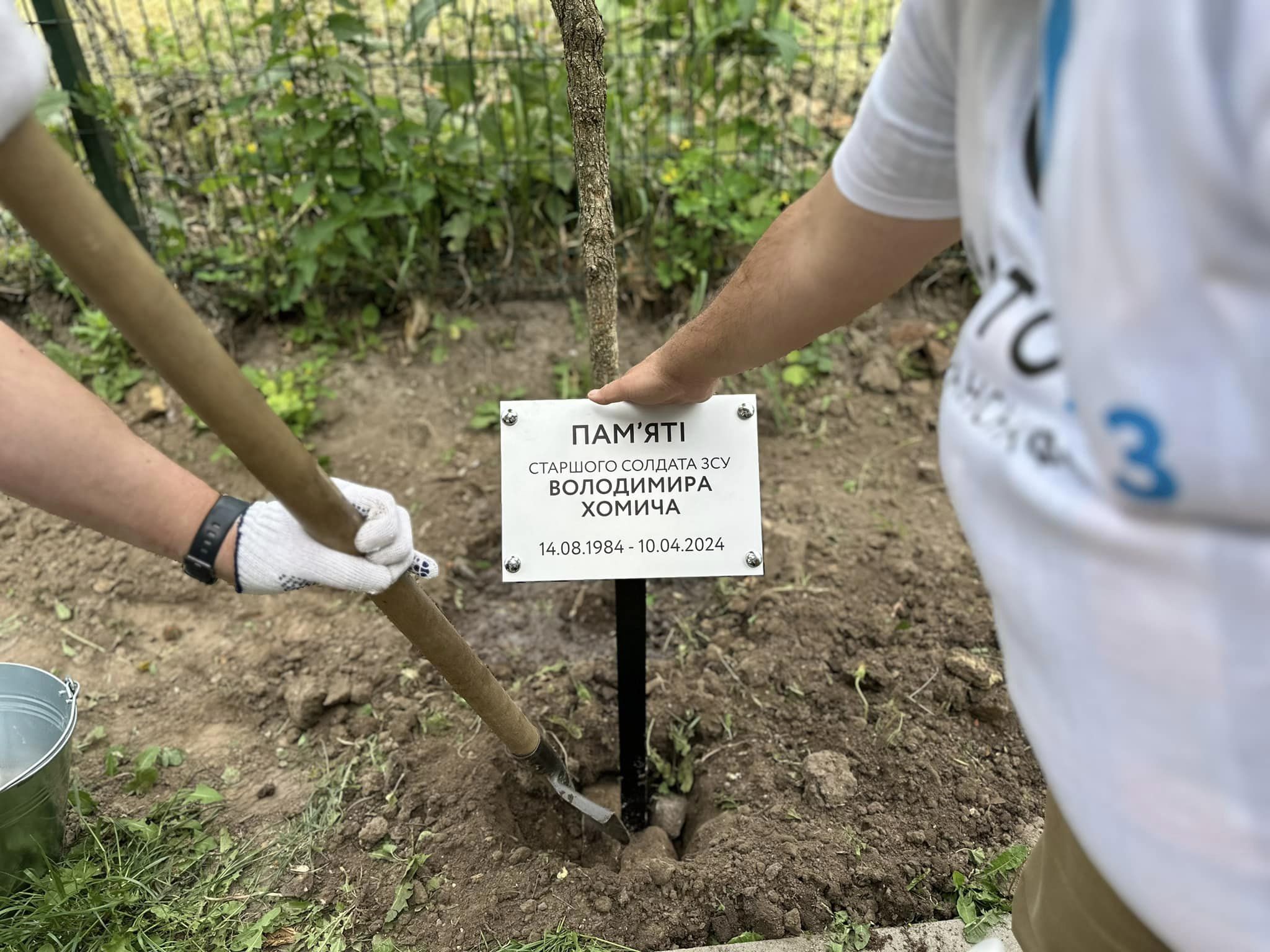image-17